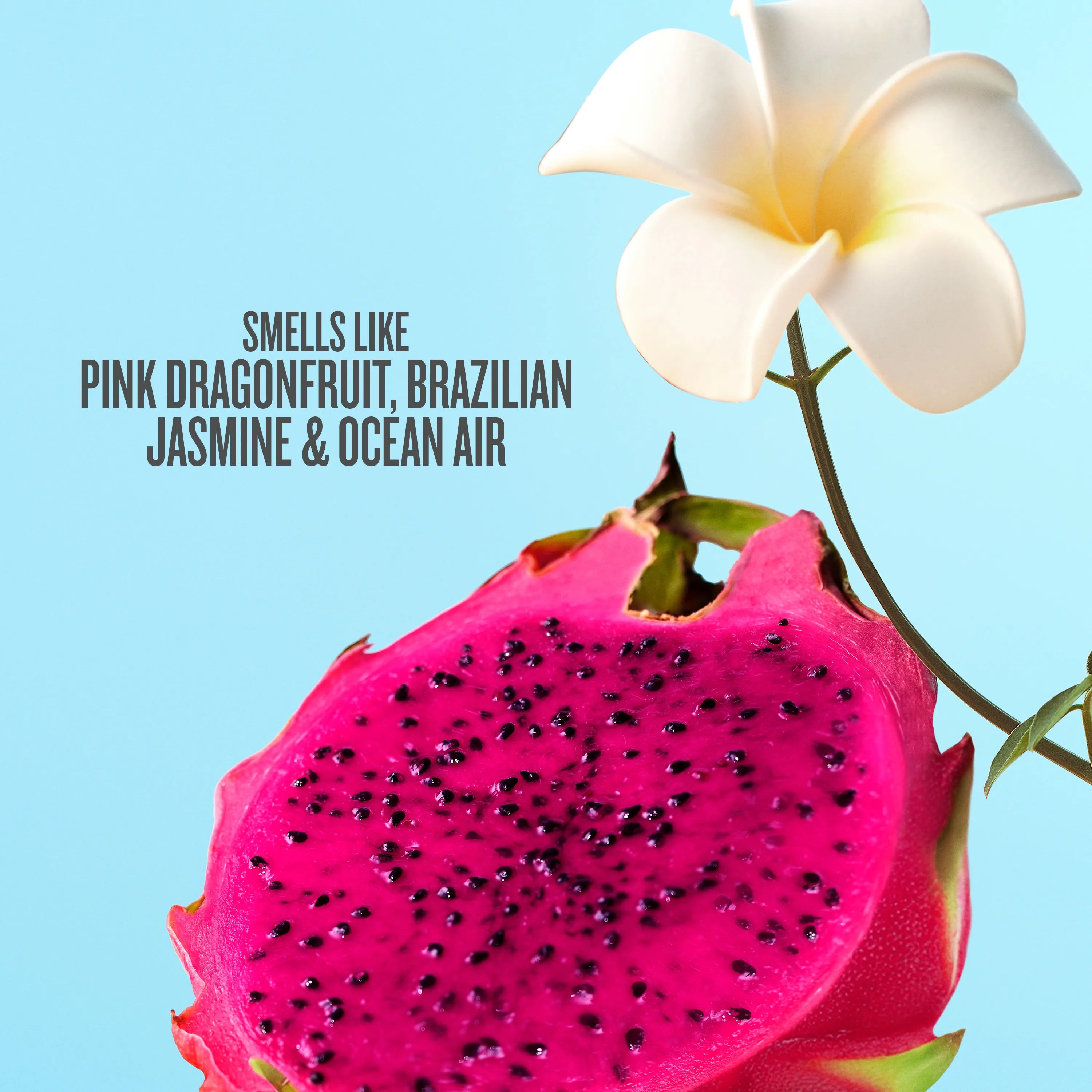 Pink dragonfruit with a white flower on a light blue background