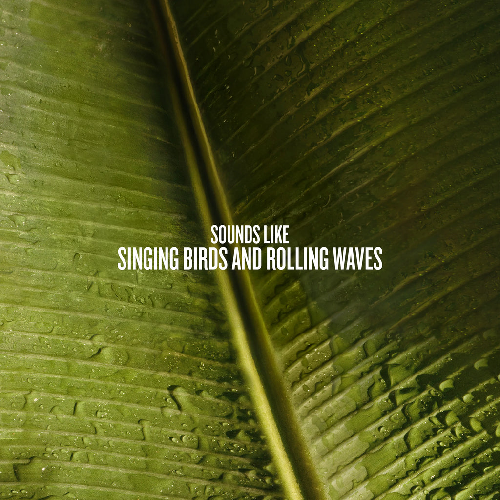 Close-up of a green leaf with text overlay on a textured green background