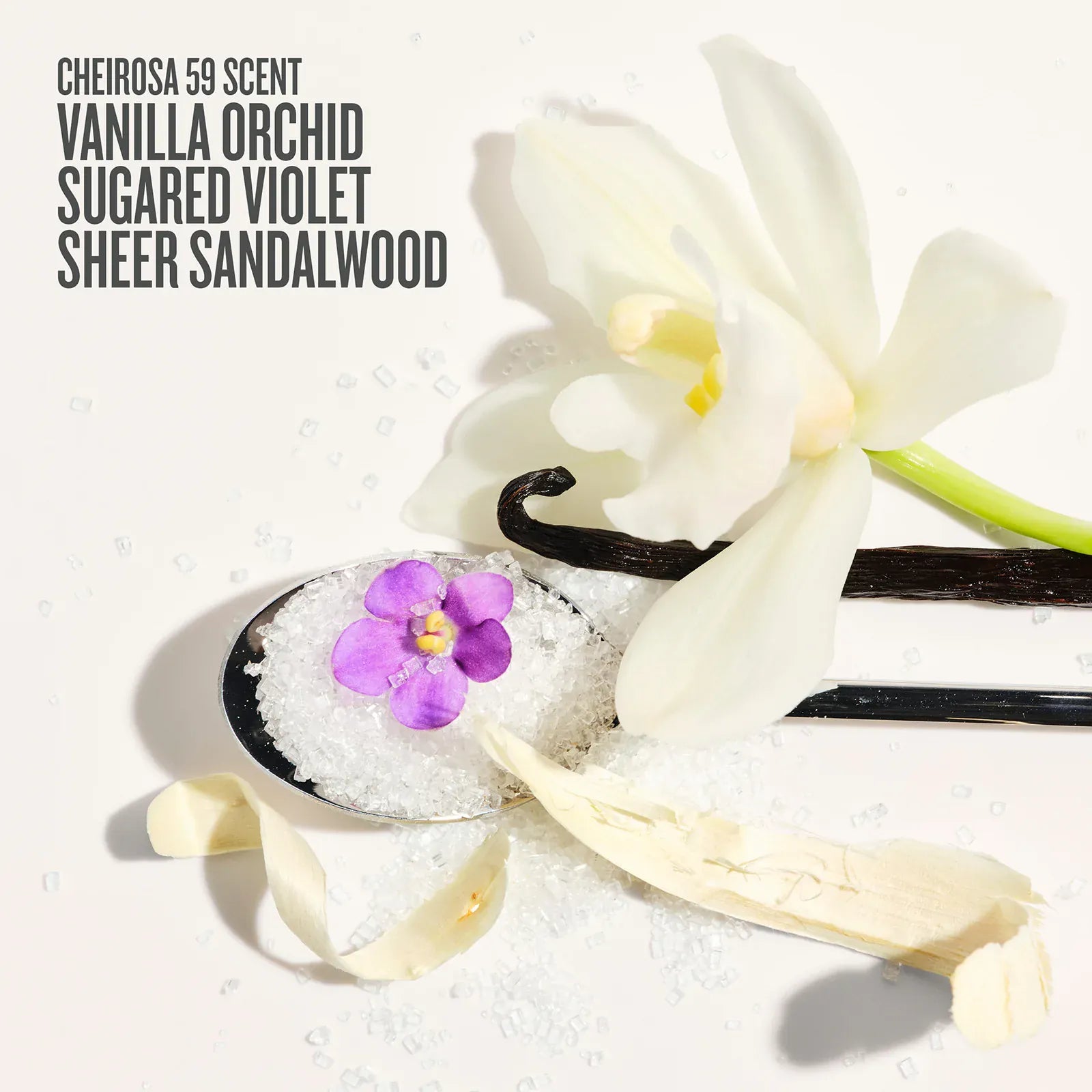 Vanilla orchid, sugared violet, and sheer sandalwood with product name on a white background. 

Cheirosa 59 scent vanilla orchid, sugared violet, sheer sandalwood