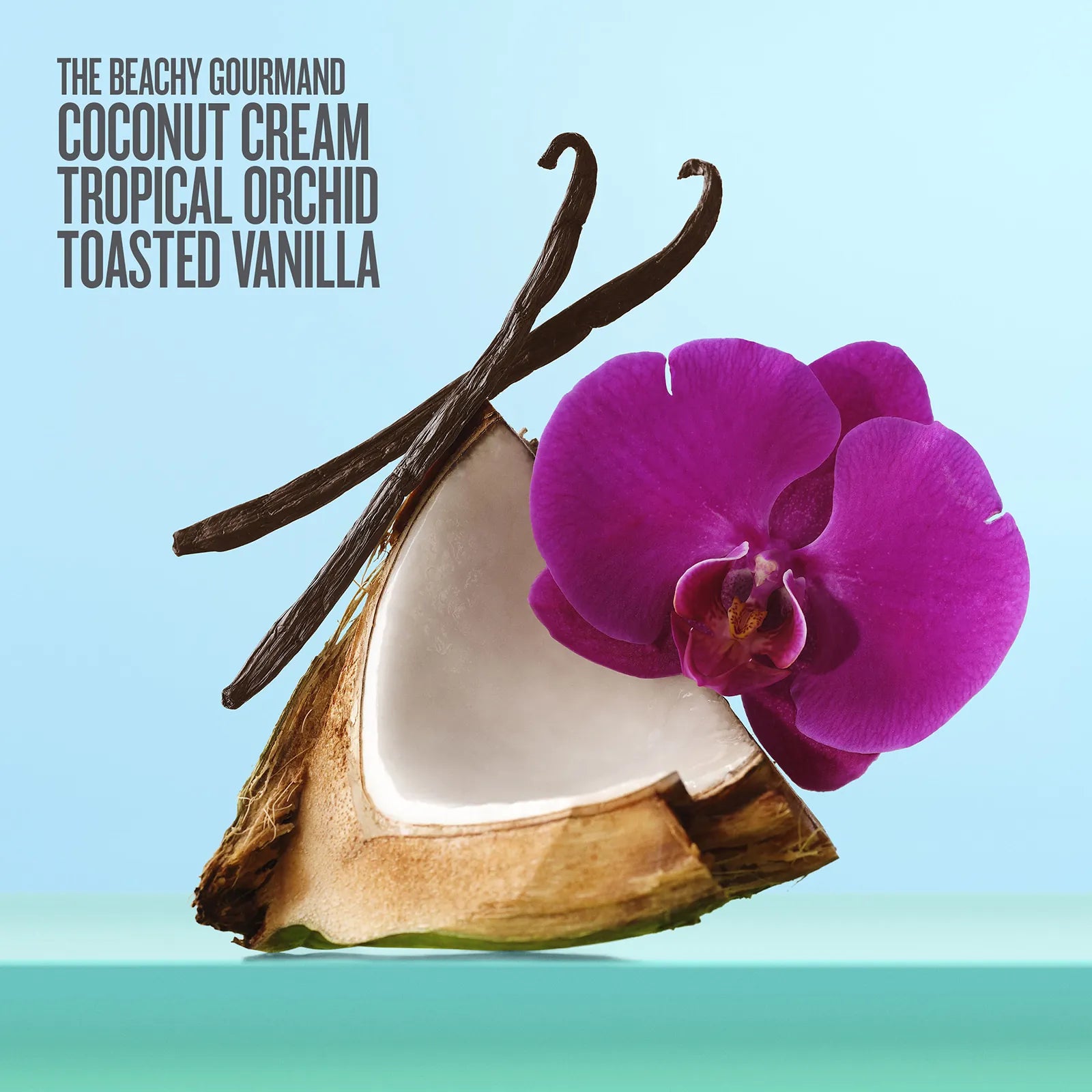 The beachy gourmand coconut cream tropical orchid toasted vanilla