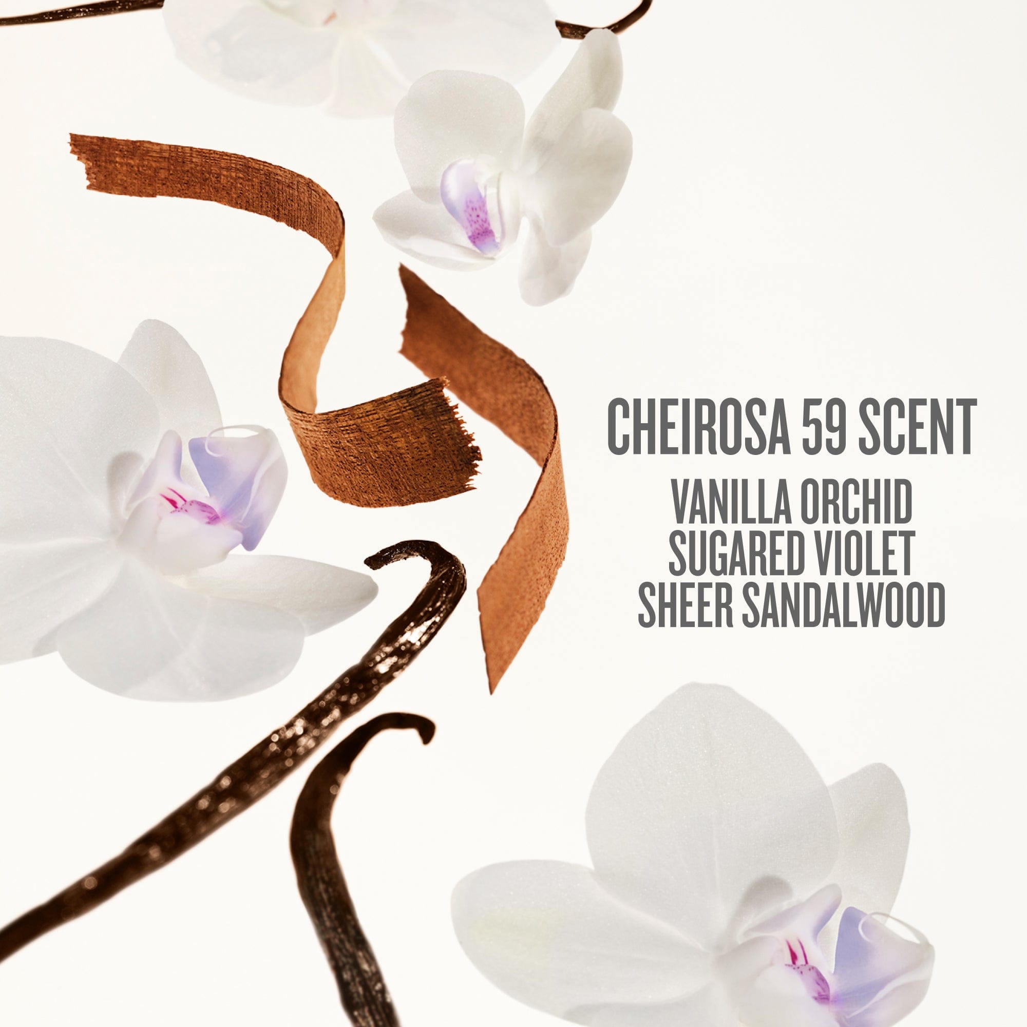 cheirosa 59 scent vanilla orchid, sugared violet, sheer sandalwood