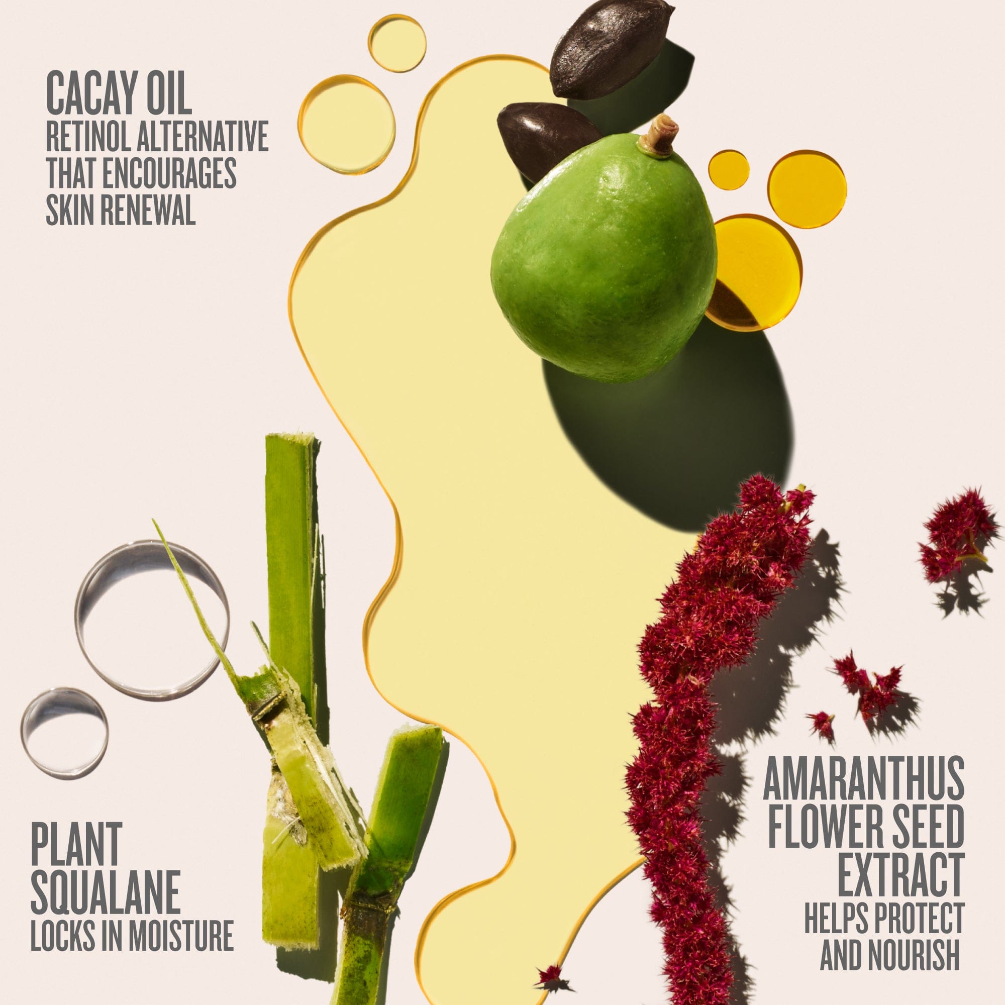 Cacay oil encourages elastin production and supports cell renewal. Squalane deeply nourishes. Amaranthus flower seed extract helps reduce the appearance of wrinkles