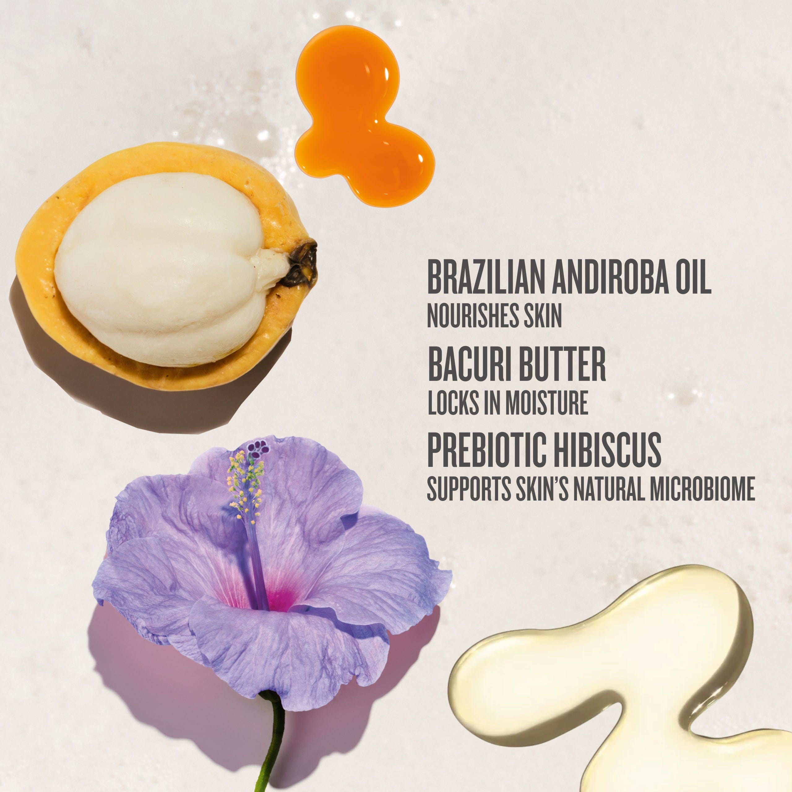brazilian andriroba oil nourishes skin bauri butter locks in moisture prebiotic hibiscus supports skins natural microbiome 